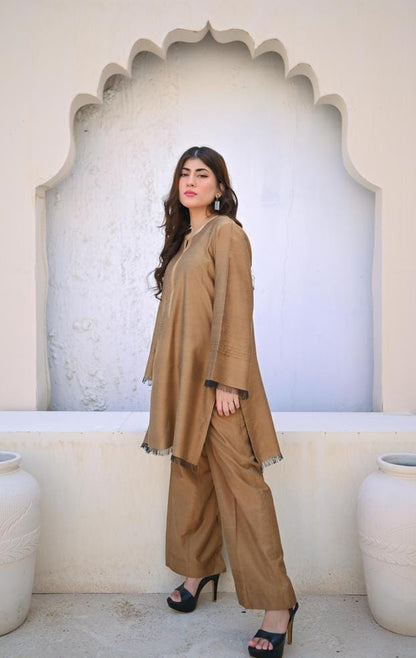 2 Pcs Women's Stitched Khadi Cotton Solid Suit